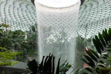 Singapur - 11 Ocak 2026: Ziyaretçiler Singapur 'daki Jewel Changi Havalimanı' nda büyük bir şelale gözlemlediler. Tropikal bitkiler çağlayan suyun manzarasını çerçeveliyorlar.
