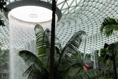 Singapur - 11 Ocak 2026: Ziyaretçiler Singapur Jewel Changi Havalimanı içinde yeşil bitkilerle çevrili bir şelale manzarasının keyfini çıkarıyorlar. Sahne modern tasarım ve doğal elementleri yakalıyor..