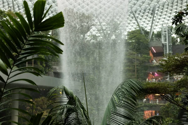 Singapur - 11 Ocak 2026: Singapur Jewel Changi Havalimanı 'ndaki yemyeşil bir kapalı bahçede bir şelale akıyor. Ziyaretçiler, tropikal bitkiler ve modern mimariyle çevrili bölgeyi keşfediyorlar..