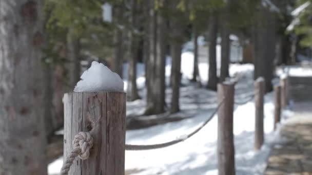 Camina Por Parque Invierno Gorras Nieve Postes Madera Parque Camino — Vídeos de Stock