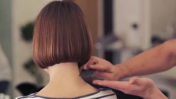 在美容院里 一个理发师剪下了一个女顾客的头发 棕色头发的女孩坐在镜子前 — 图库视频影像