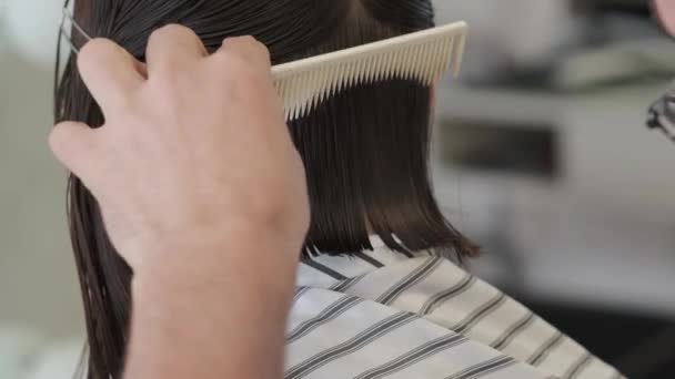 Salón Belleza Peluquero Estilista Corta Cabello Una Clienta Chica Cabello — Vídeo de stock