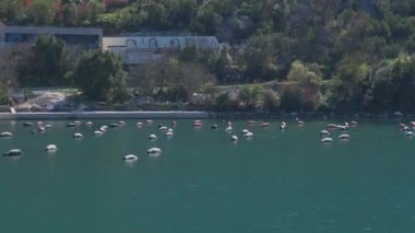 Karadağ 'ın Boka-Kotor körfezinde, baharda Adriyatik kıyısında tuzakları ve şamandıraları olan istiridye ve midye çiftçiliği. Arka planda dağlar. Martılar suyun üzerinde alçaktan uçar.