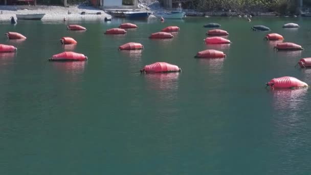 Ostron Och Musselodling Med Fällor Och Bojar Boka Kotor Bay — Stockvideo