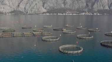 İlkbaharda Karadağ 'ın Adriyatik kıyısındaki Boka-Kotor körfezinde tuzakları ve şamandıraları olan balık, istiridye ve midye çiftliği türünden havadan çekilen deniz tarlaları. Arkaplanda dağlar