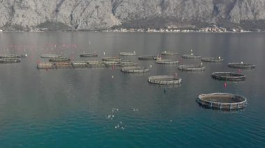 İlkbaharda Karadağ 'ın Adriyatik kıyısındaki Boka-Kotor körfezinde tuzakları ve şamandıraları olan balık, istiridye ve midye çiftliği türünden havadan çekilen deniz tarlaları. Arkaplanda dağlar
