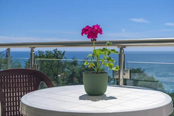 Gök mavisi gökyüzüne ve özel villa terasından bak. Terasta sandalyeli plastik bir masa var. Masanın üzerinde de dekorasyon için kırmızı bir çiçek var.