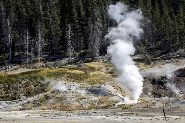 Géiser Parque Nacional Yellowstone Increíblemente Hermoso Géiser Aguas Termales Parque — Foto de Stock