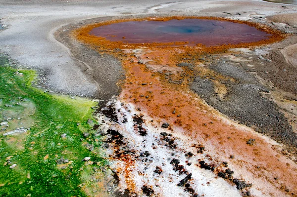 Géiser Parque Nacional Yellowstone Increíblemente Hermoso Géiser Aguas Termales Parque — Foto de Stock