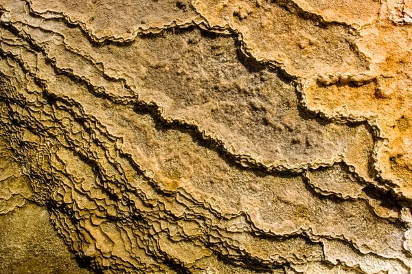 Yellowstone Ulusal Parkı 'nda gayzer. Yellowstone Ulusal Parkı 'nda inanılmaz güzel bir gayzer. İnanılmaz renkler. Dünyanın harikası. Wyoming ABD