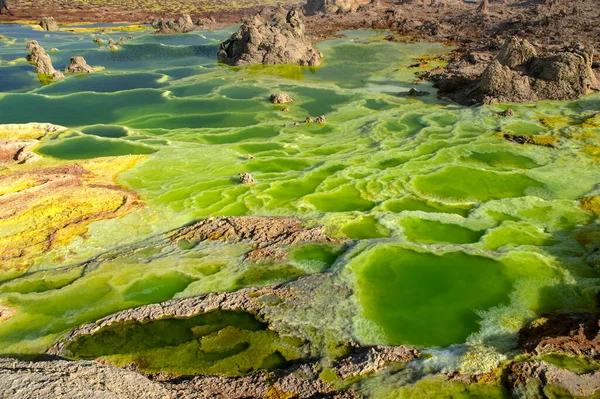 Dallol Volcán Activo Cuenca Del Danakil Noreste Etiopía Cerca Frontera — Foto de Stock