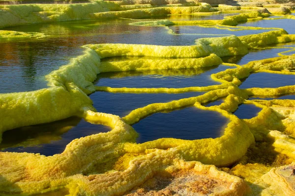 Dallol Volcán Activo Cuenca Del Danakil Noreste Etiopía Cerca Frontera — Foto de Stock