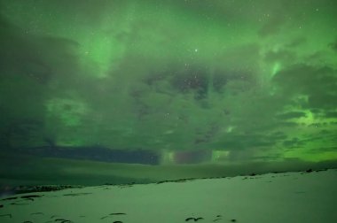 Aurora Borealis. Kuzey Işıkları. Teriberka. Murmansk bölgesi. Rusya