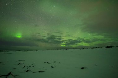 Aurora Borealis. Kuzey Işıkları. Teriberka. Murmansk bölgesi. Rusya