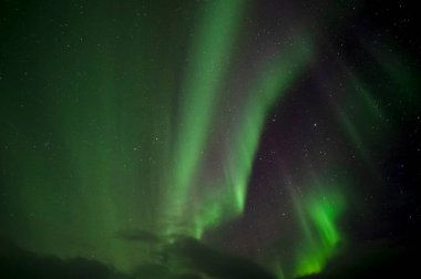 Aurora Borealis. Kuzey Işıkları. Teriberka. Murmansk bölgesi. Rusya