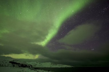 Aurora Borealis. Kuzey Işıkları. Teriberka. Murmansk bölgesi. Rusya