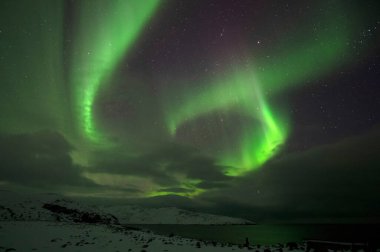 Aurora Borealis. Kuzey Işıkları. Teriberka. Murmansk bölgesi. Rusya