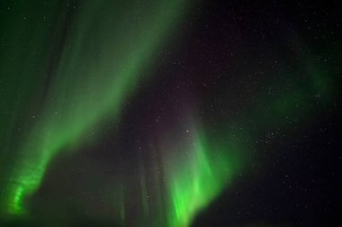 Aurora Borealis. Kuzey Işıkları. Teriberka. Murmansk bölgesi. Rusya