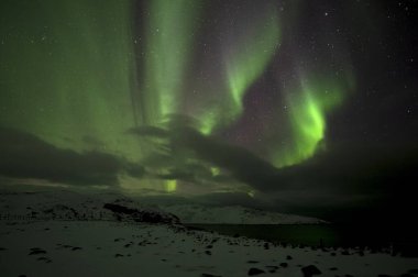 Aurora Borealis. Kuzey Işıkları. Teriberka. Murmansk bölgesi. Rusya