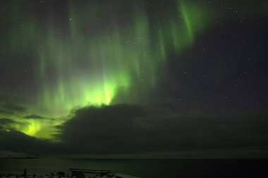 Aurora Borealis. Kuzey Işıkları. Teriberka. Murmansk bölgesi. Rusya