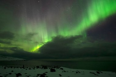 Aurora Borealis. Kuzey Işıkları. Teriberka. Murmansk bölgesi. Rusya