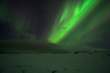 Aurora Borealis. Kuzey Işıkları. Teriberka. Murmansk bölgesi. Rusya