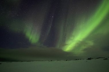 Aurora Borealis. Kuzey Işıkları. Teriberka. Murmansk bölgesi. Rusya
