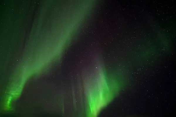 Aurora Boreal Luces Del Norte Teriberka Región Murmansk Rusia —  Fotos de Stock