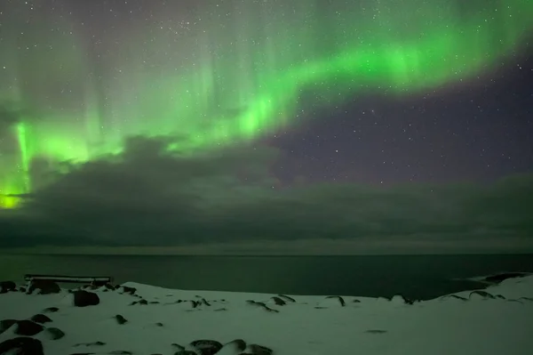 Aurora Borealis. Kuzey Işıkları. Teriberka. Murmansk bölgesi. Rusya