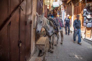 FEZ, Fas - 5 Mayıs 2019: Fez sakinleri şehirlerinin sokaklarında. Fas, Afrika