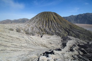 Volkan Batok. Bromo-Tengger-Semeru Ulusal Parkı. Java Adası, Endonezya