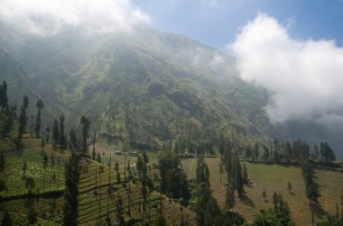 Java adasının dağ manzarasında alçak bulutlar ve sis. Java adası terasları. Endonezya
