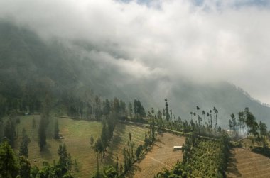 Java adasının dağ manzarasında alçak bulutlar ve sis. Java adası terasları. Endonezya