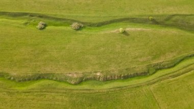 İnanılmaz güzel hava manzarası: yeşil çayırlar, tarlalar, ağaçlar