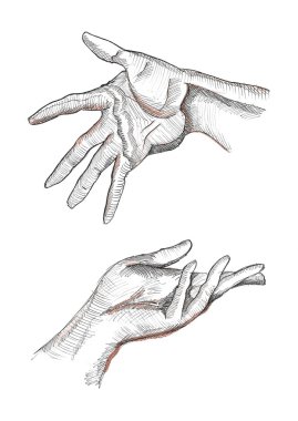 Etkileyici sol ve doğru insan elleriyle görünür palm kırışıklıklar, parmaklar, tendon, kas. Suluboya, mürekkep ve kalem kroki çizim.