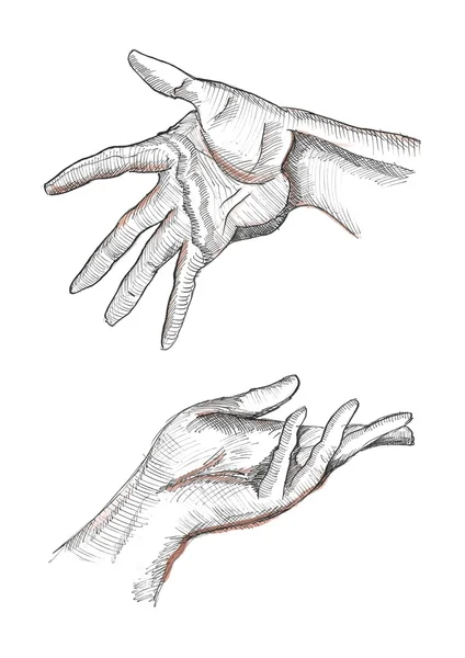 보이는 손바닥 주름, 손가락, 힘 줄, 근육 표현 왼쪽과 오른쪽 인간의 손. 연필, 잉크와 수채화 스케치 드로잉. — 스톡 사진