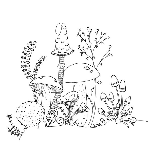 Mushroom black and white outline hand drawn coloring page