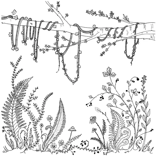 Ferns, flowers, vines and berries in a forest, dense vegetation. Printable coloring page for adults, anti-stress activity. EPS 10 — Stock Vector