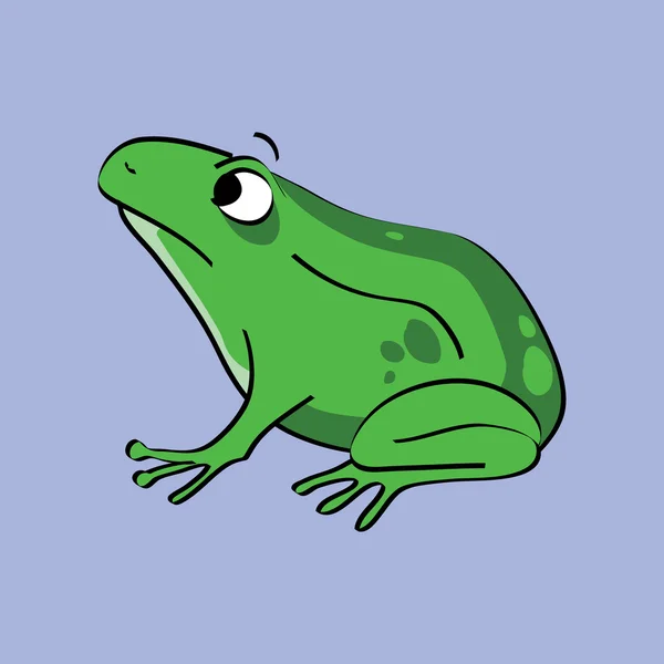 Gröna grodan amfibie ritning — Stock vektor