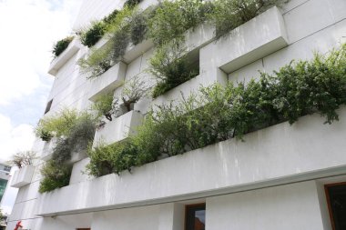 Gelecek için mimari çözümler üretmek. Canlı ve cansız doğanın bir kombinasyonu. Binanın duvarlarında küçük bir orman var..