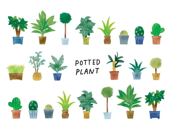 Casual Touch Simple Green Potted Plant Illustration Set — Stock Photo, Image