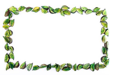 Beyaz arkaplanda yeşil yapraklarla yapılmış yeşil çerçeve