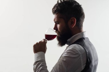 Degukasyon ve alkol tatma. Bir bardak kırmızı şarapla yakışıklı bir adam. Şarap kadehli sakallı adam..
