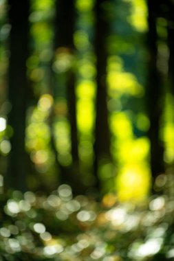 Yeşil doğa arka plan yumuşak dokusu. Yeşil arka plan bulanık yeşillik. Yeşil doğa bahar tazeliği. Yeşil arka plan barışçıl doğa