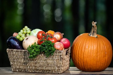 Taze çiğ sebze ve meyve. Yeşil çiftlikte taze sebze seçimi. Pazar için meyve ve sebze topladım. Sepetin içine sebze koy. Renkli sebze hasadı