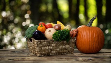 Fresh vegetables harvested from the eco farm. Basket full of green and ripe produce. Organic crops ready for healthy meals. Summer and autumn vegetables. Fresh harvest. Natural eco produce cultivation