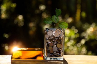 Büyüme ile birlikte altın yatırım. Yatırım altın ve tasarruf konsepti. Altın külçelerine yatırım uzun vadeli servet güvenliği sağlar. Yatırım altın sermaye büyümesine odaklandı