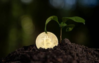 Bitcoin yeşil konseptle büyür. Bitcoin finansal ekimi. Bitcoin zenginlik gelişimi. Bitcoin yatırım artışı