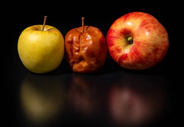 İzole edilmiş stüdyoda çürük ya da taze elmalar. Tazelik çürük elmalara karşı. Çürük elma ve taze elma. Zaman ve yaşlanma konsepti. Sağlıksız ve sağlıklı elmalar. Önce ve sonra kavramı. Kavramsal resim
