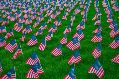 Anma Günü için çimenlerin üzerinde Amerikan bayrağı. Amerikalıların vatanseverlik anıtı. Gaziler ve Anma Günü için Amerikan bayrağı. Amerikan bayrağı ve Anma Günü konsepti